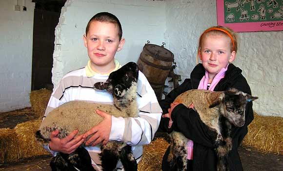 On The Farm