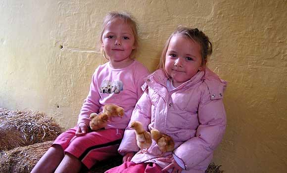 On The Farm