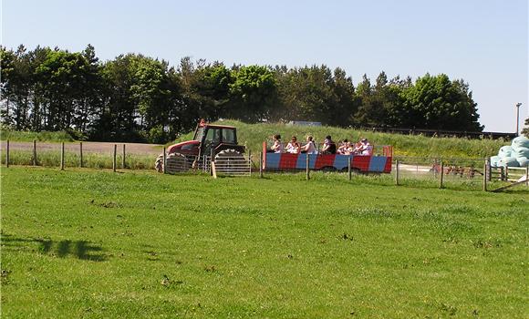 Tractor Rides