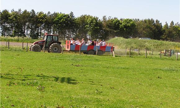 Tractor Rides