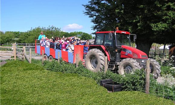 Tractor Rides