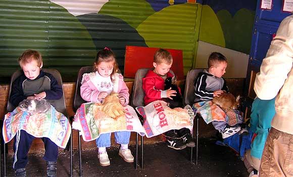 Groups Visits