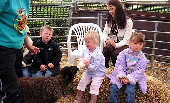 Groups Visits