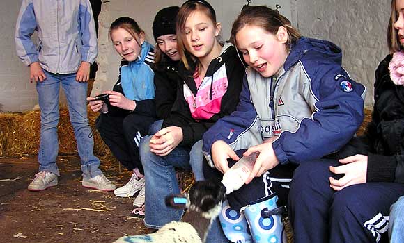 Bottle Feeding