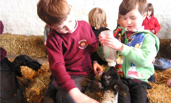 Bottle Feeding