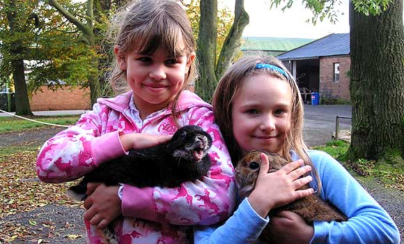 Small Animal Handling